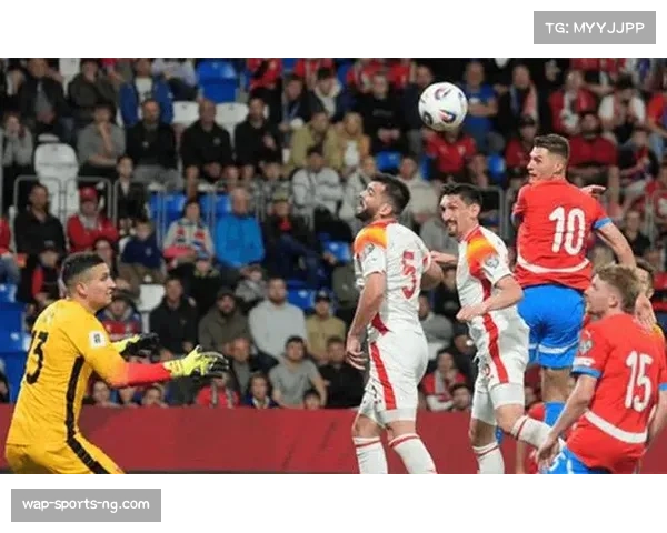 捷克队不敌对手 积分榜位居小组第二